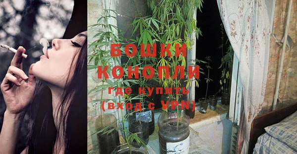 гидропоника Арсеньев